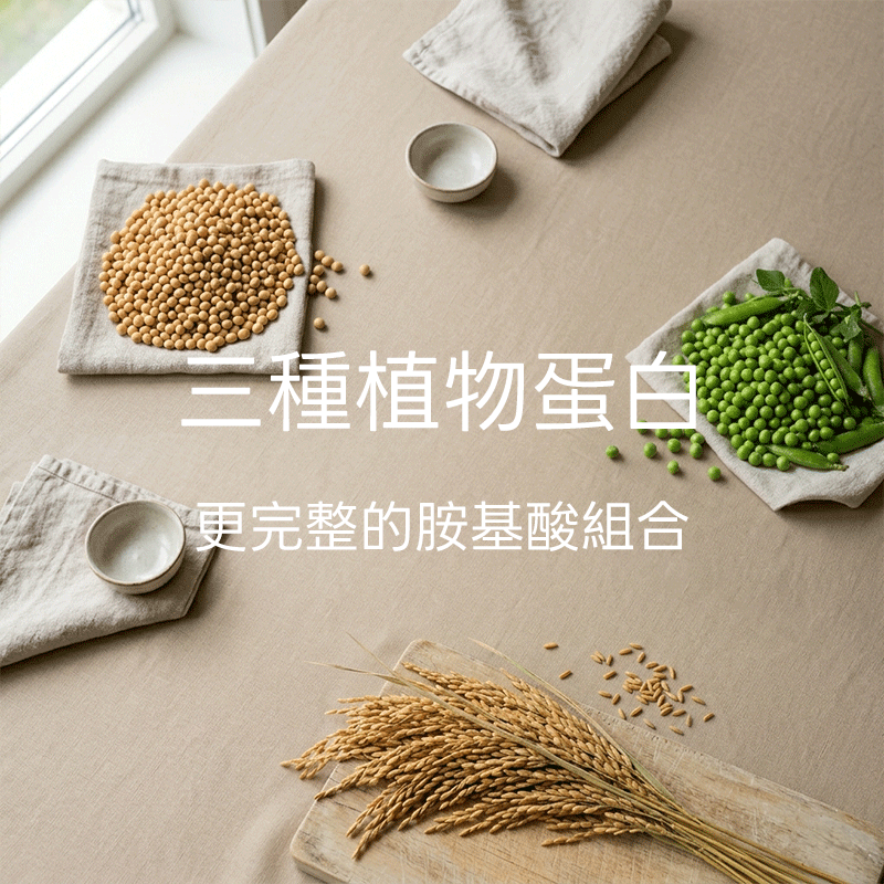三種植物蛋白